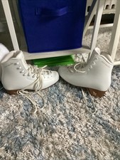 Scott hamilton risport for sale  Stamford