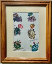 Cacti bloom ted for sale  Casa Grande
