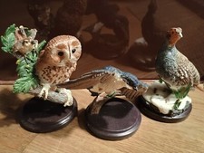 Sammelfiguren schöne vogelwel gebraucht kaufen  Verden