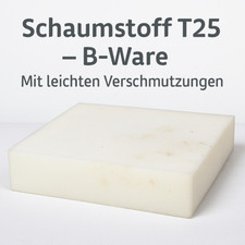 Schaumstoffplatte t25 ware gebraucht kaufen  Dresden
