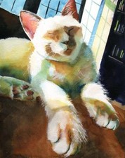 Giclee siamese cat for sale  Columbia