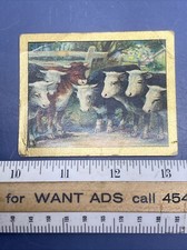 Rare turkish trophies for sale  Sodus