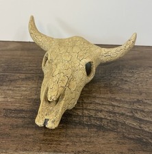 Longhorn skull cow for sale  Omaha