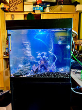 unterschrank aquarium gebraucht kaufen unterschrank aquarium gebraucht kaufen Radolfzell am Bodensee