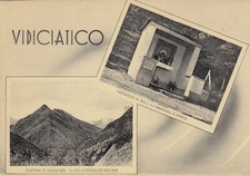 Cartolina vidiciatico bologna usato  Bologna