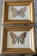 Pair butterfly prints for sale  Mission Viejo