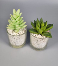 Mini succulents small for sale  SOLIHULL