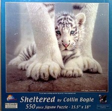 Sheltered white tiger for sale  Springfield