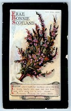Flowers postcard frae for sale  Terre Haute