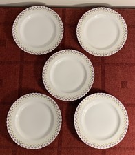 Tirschenreuth bavaria spotty for sale  BRIDGWATER