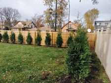 5pck gallon green for sale  Mcminnville