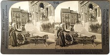 Keystone stereoview dog for sale  Norwalk