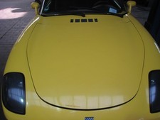Motorhaube fiat barchetta gebraucht kaufen  Warendorf