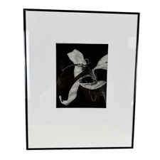 Silver gelatin black for sale  Akron