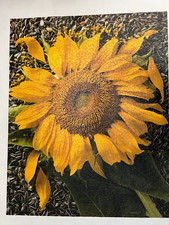 Sunflower springbok puzzle for sale  Overland Park