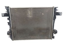 Radiator classic style for sale  Glen Flora