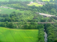 Foto 6x4 flussmandel gebraucht kaufen  Versand nach Germany