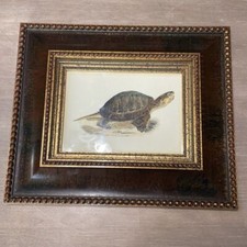 18.5 15.5 shadow for sale  Bradford