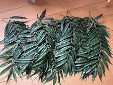 Palmblätter als tisch gebraucht kaufen  Butzbach