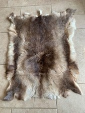 Reindeer rug real for sale  THETFORD