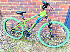 Giant revel front for sale  LEWES