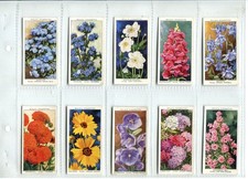 Garden flowers sudell for sale  SWINDON