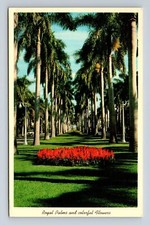 Cartão postal palmeiras reais e flores coloridas Flórida comprar usado  Enviando para Brazil