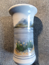 Highland stoneware vase for sale  EDINBURGH