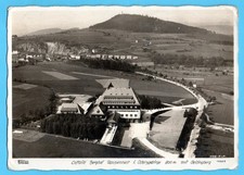 Altenberg berghof raupennest gebraucht kaufen  Bad Schandau