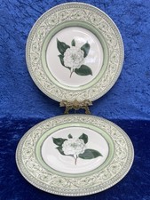 Pair royal horticultural for sale  BRIGHOUSE