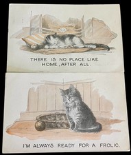 1920s cat kitten for sale  Sebastian