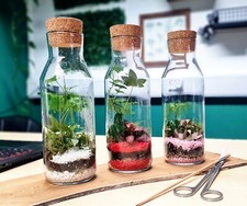 Diy colourful cork for sale  SELBY