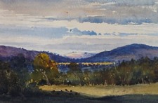 Original watercolour green for sale  WIRRAL