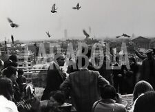 Vintage animali parigi usato  Roma
