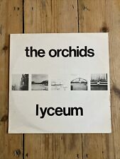 Orchids lyceum mini for sale  RAMSGATE