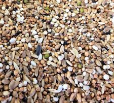 Pigeon conditioner bucktons for sale  TONBRIDGE