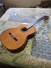 Excellent cordoba luthier for sale  Saint Cloud