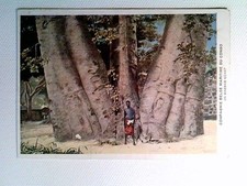 Belgisch kongo congo gebraucht kaufen  Aarbergen