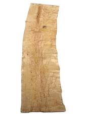Birke maser holz gebraucht kaufen  Hamburg