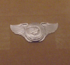 Boné distintivo Indian Scout Chief Hawk Apache flecha motociclista asa piloto P comprar usado  Enviando para Brazil
