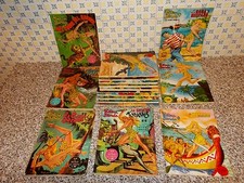 Pantera bionda albi usato  Firenze