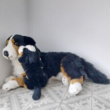 Classic dog puppy for sale  NORWICH