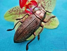 Broche ancienne grand d'occasion  Orleans-
