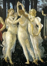 Primavera sandro botticelli usato  Pavia