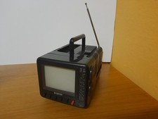 Color radio bushido usato  Capriate San Gervasio