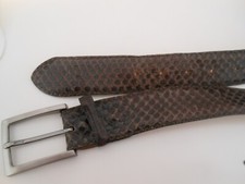Brauner reptile house gebraucht kaufen  Essen