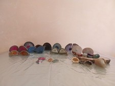 Lotto minerali agate usato  Campobasso