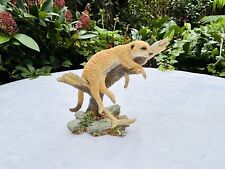 Country artists meerkat for sale  SALFORD