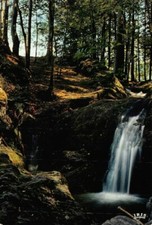 Cascade charbonniers saint d'occasion  Rioz