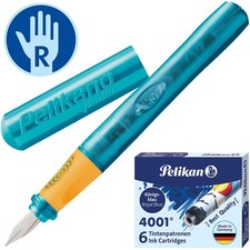 Pelikan pelikano junior gebraucht kaufen  Scharnebeck